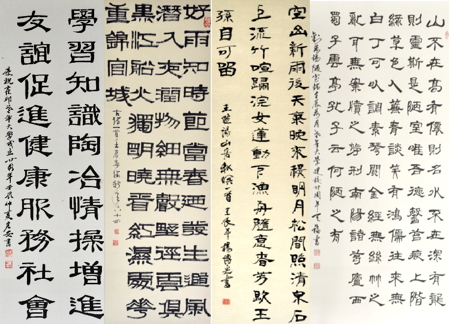 鷨