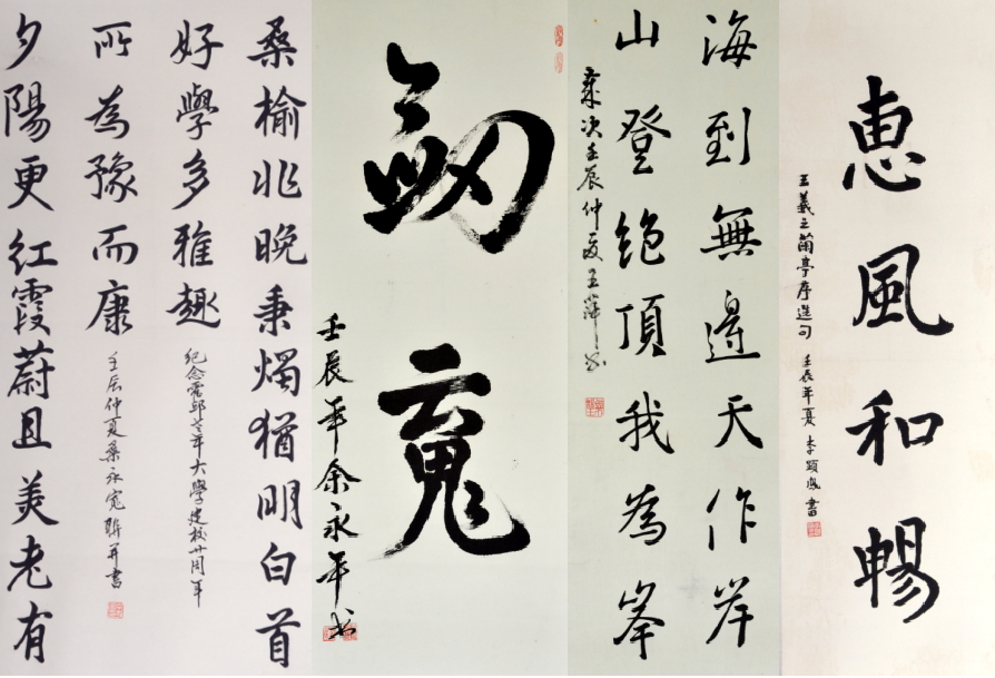 鷨